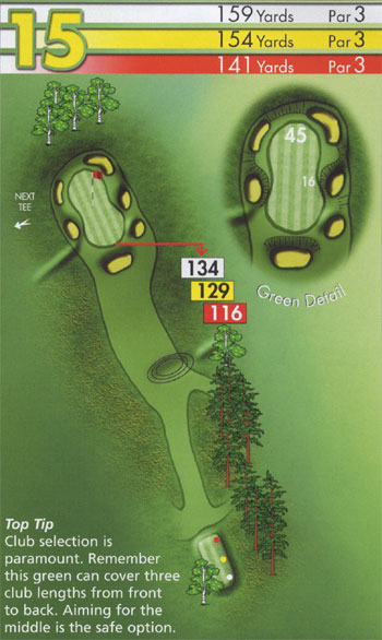 Hole 15